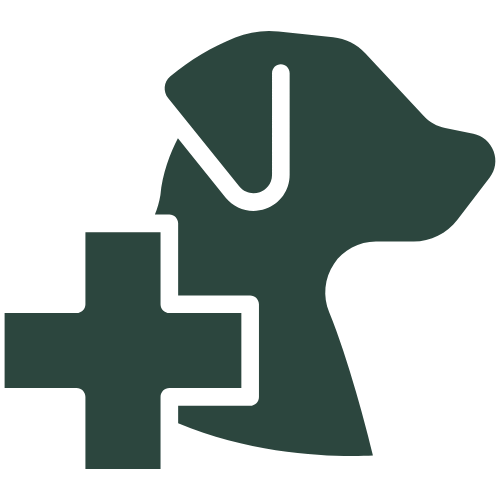 Emergency Awareness icon