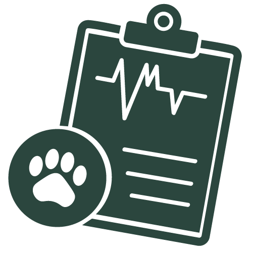Fast Assessment icon