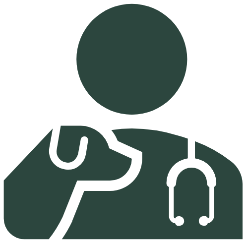 Ongoing Support icon